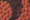 title 08